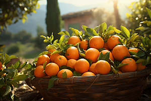脐橙橙子果篮水果摄影图