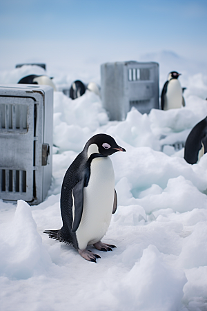 南极企鹅冰川环保创意素材