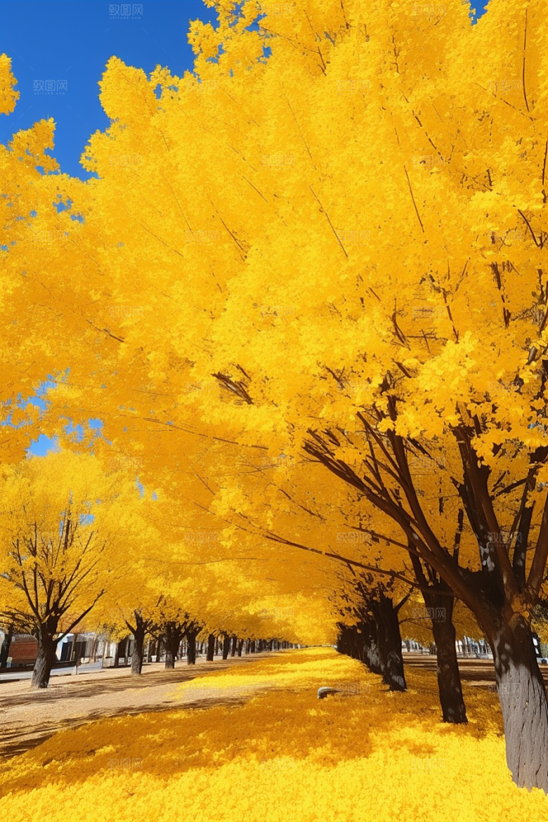 秋天风光风景美景摄影