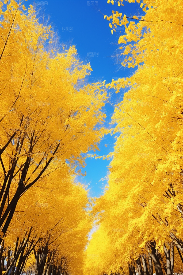 秋天风光氛围户外摄影