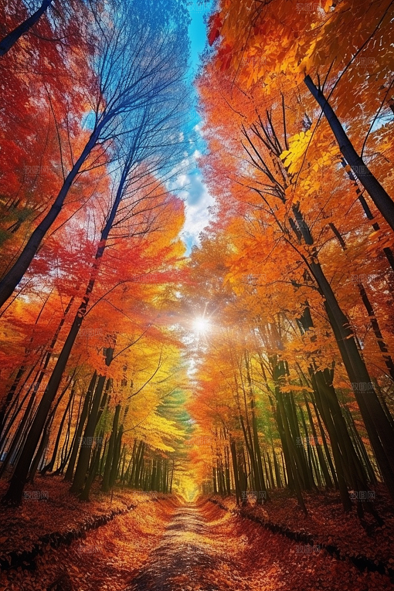 秋天风光自然氛围摄影