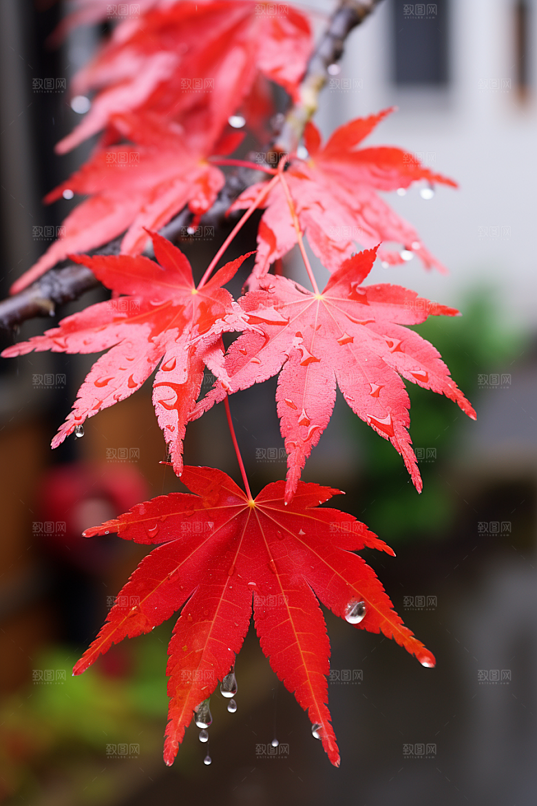 秋天风光风景自然摄影