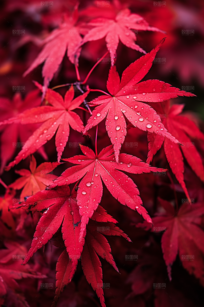秋天风光风景自然摄影