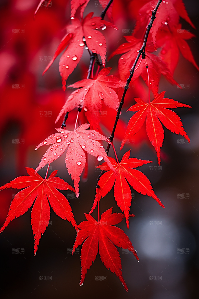 秋天风光美景秋日摄影