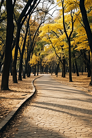 秋天风光风景室外摄影