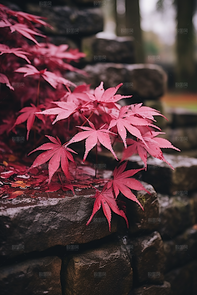 秋天风光风景美景摄影