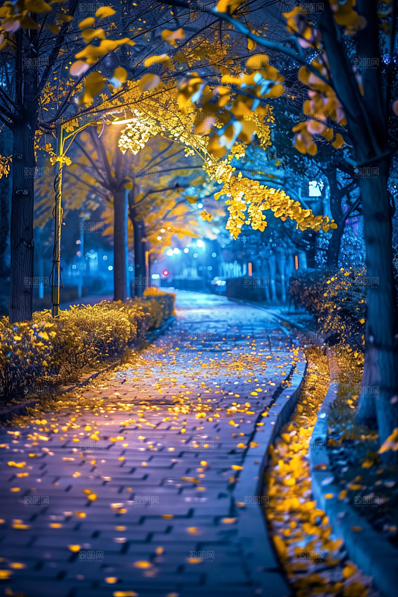 秋天落叶温暖火红色摄影图