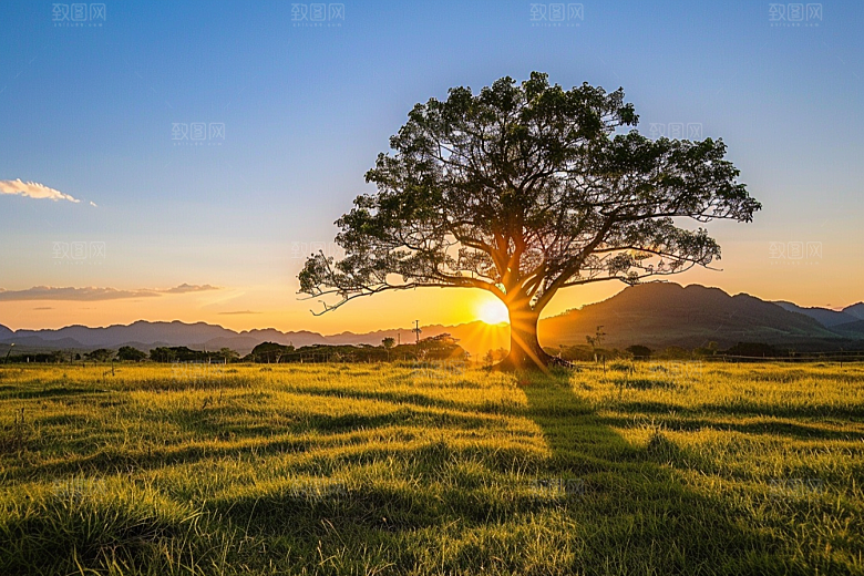 日出广阔风景摄影图