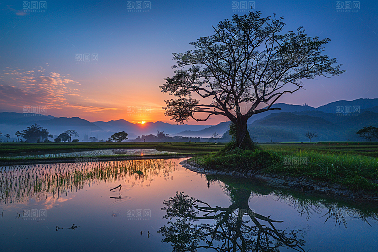 日出旅游太阳摄影图