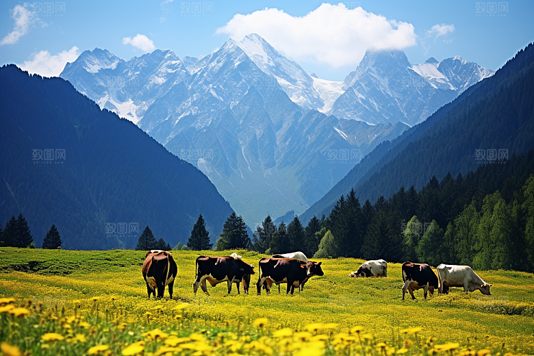 西藏旅游风景藏区摄影图
