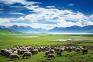 西藏旅游风景高海拔摄影图