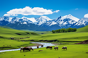 西藏旅游风景雪山摄影图