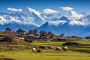 西藏旅游风光青藏高原摄影图