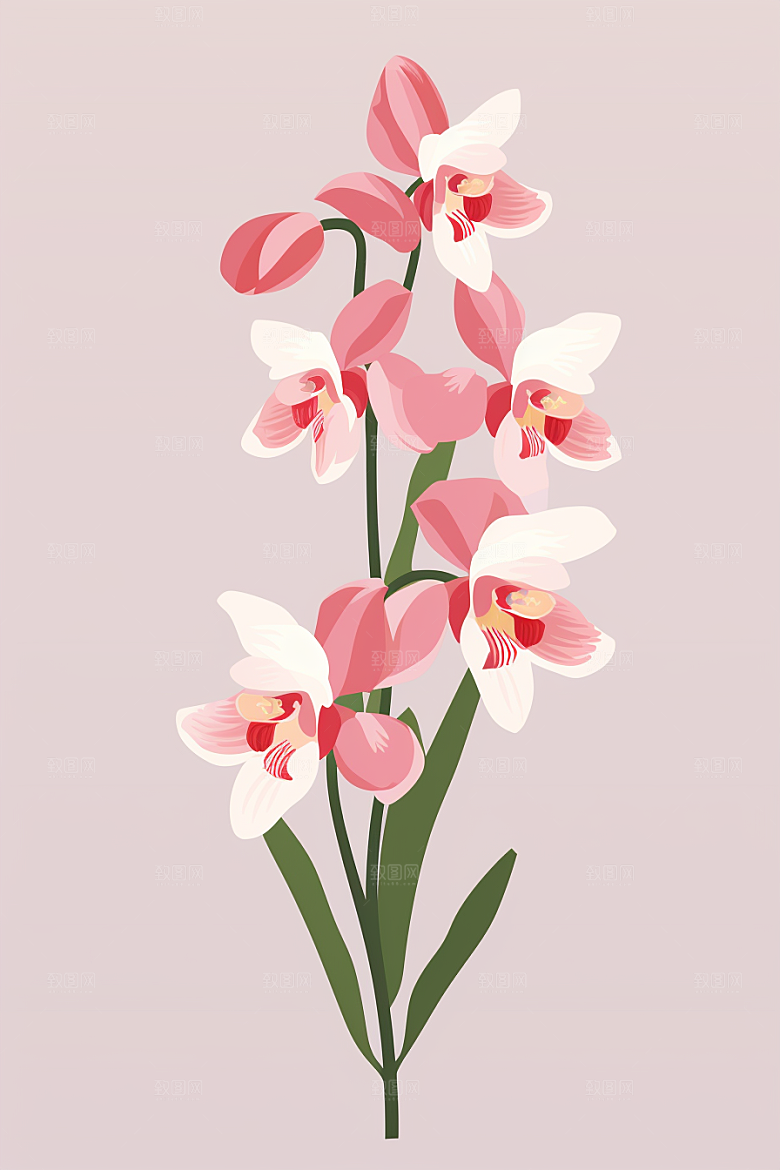 石斛医疗养生插画