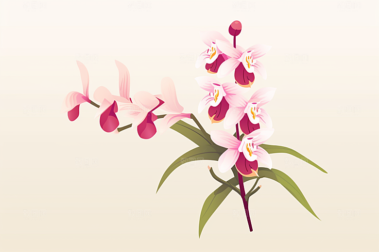 石斛养生药方插画