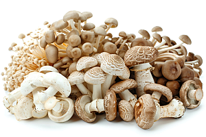 菌菇食材鲜味摄影图