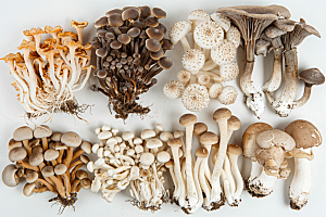 菌菇鲜味蘑菇摄影图