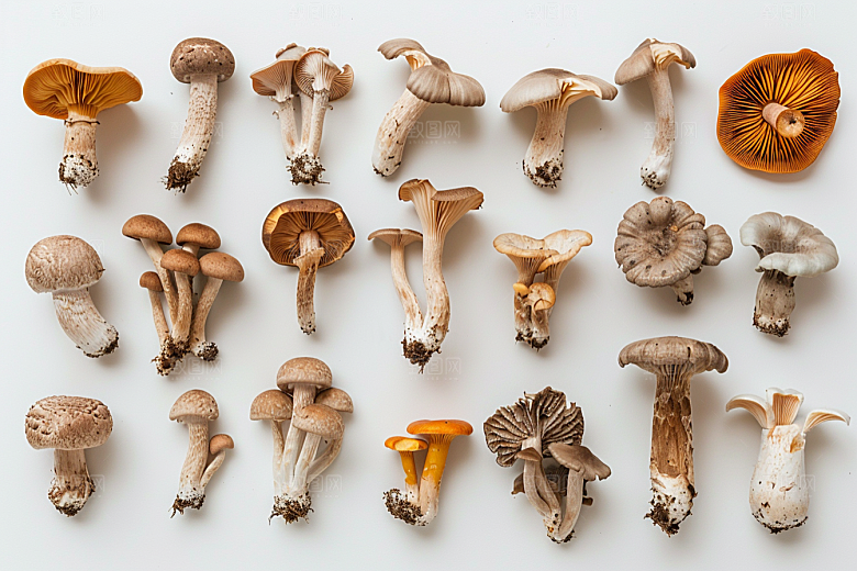 菌菇鲜味蘑菇摄影图
