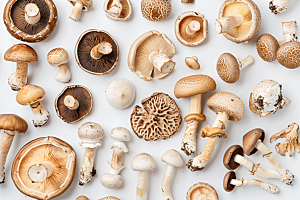 菌菇美食高清摄影图