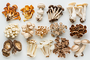 菌菇食用菌美味摄影图