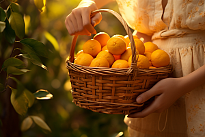 橙子采摘水果果篮摄影图
