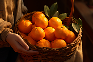 橙子采摘脐橙秋季美食摄影图