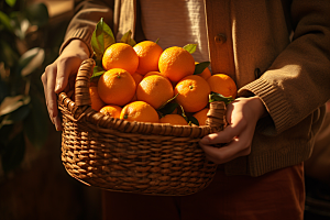 橙子采摘果品果篮摄影图
