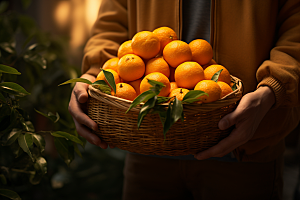 橙子采摘果品秋季美食摄影图