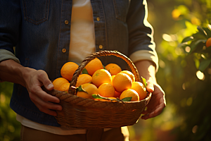 橙子采摘富含维C秋季美食摄影图