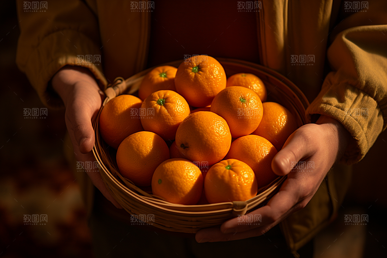 橙子采摘秋季美食果品摄影图