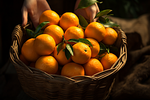 橙子采摘高清富含维C摄影图