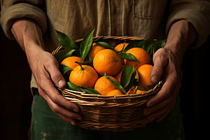 橙子采摘秋季美食水果摄影图