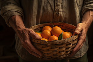 橙子采摘秋季美食富含维C摄影图
