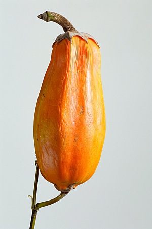 木瓜食材热带水果摄影图