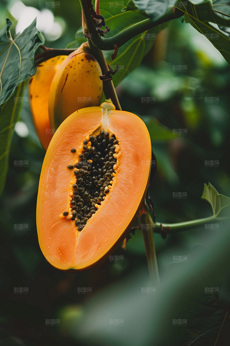 木瓜食材高清摄影图