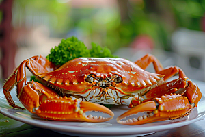 梭子蟹美味螃蟹摄影图