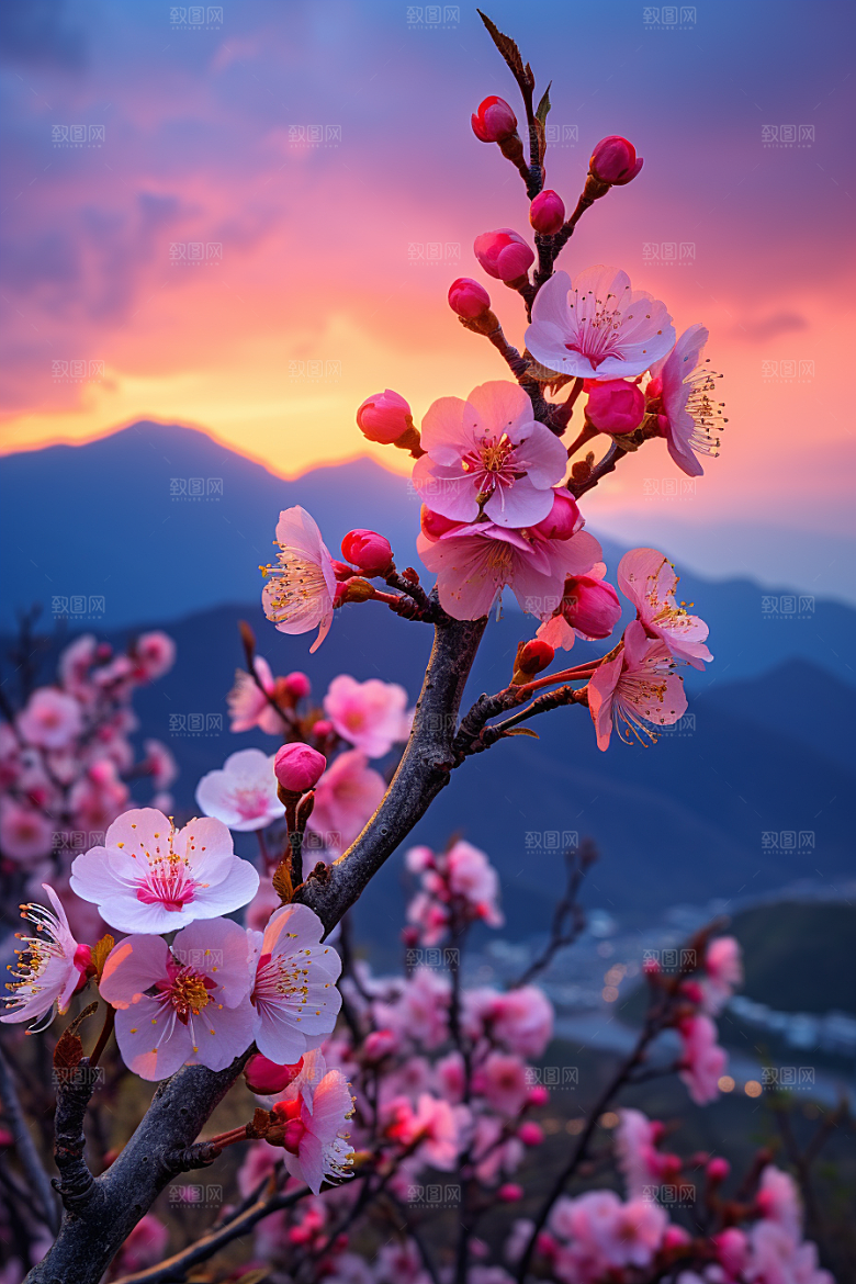 春季桃花春天风光摄影图
