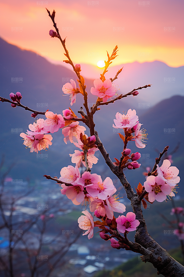 春季桃花风光美丽摄影图