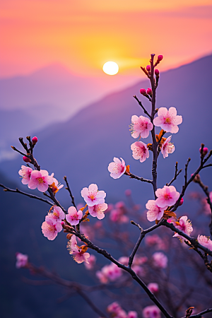 春季桃花花朵桃园摄影图
