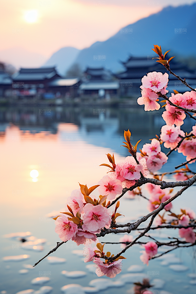 春季桃花高清桃花林摄影图
