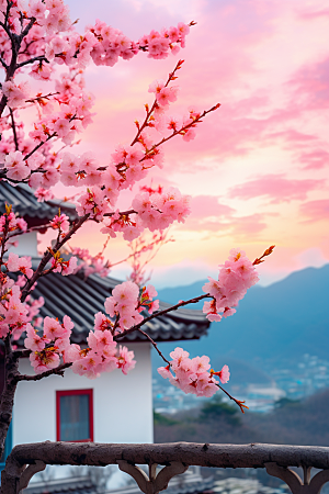 春季桃花桃花林美丽摄影图