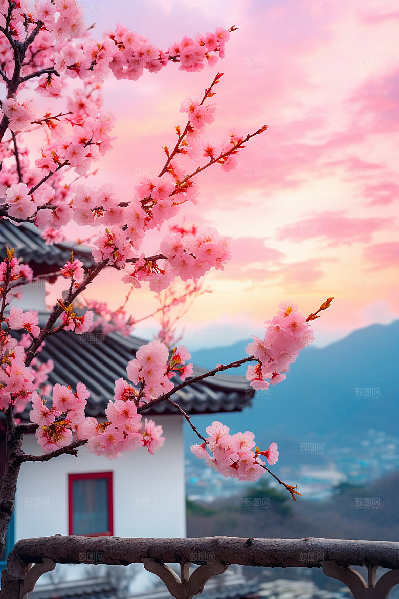 春季桃花桃花林美丽摄影图