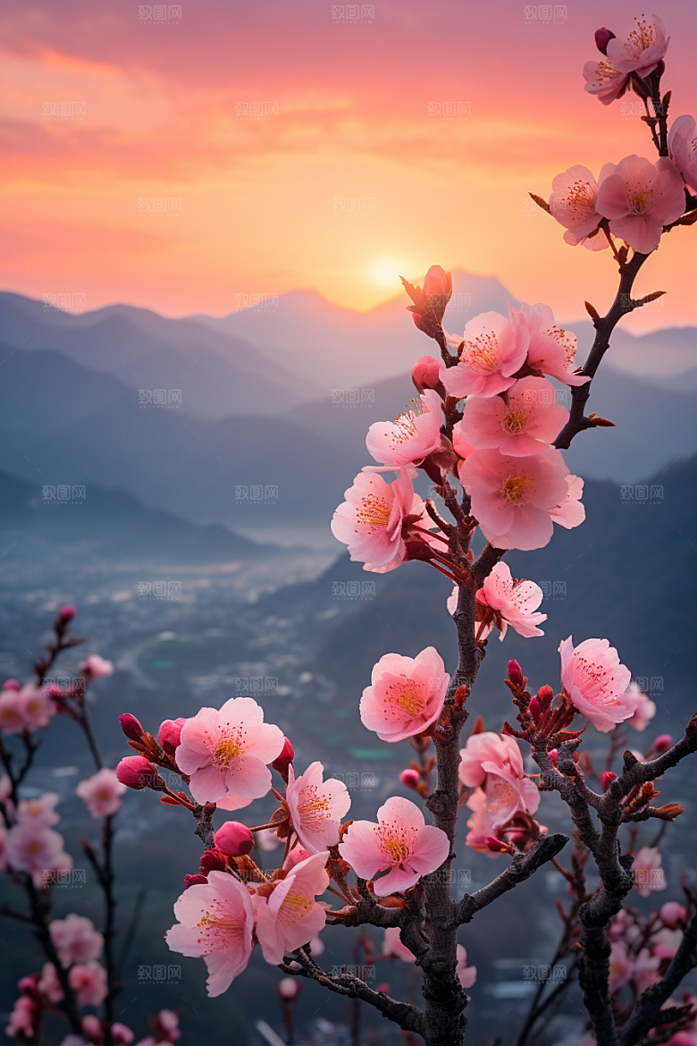 春季桃花春天桃园摄影图