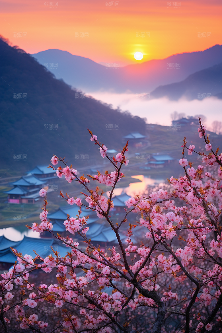 春季桃花桃园美丽摄影图