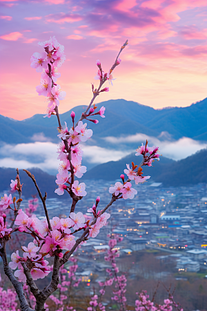 春季桃花花朵高清摄影图