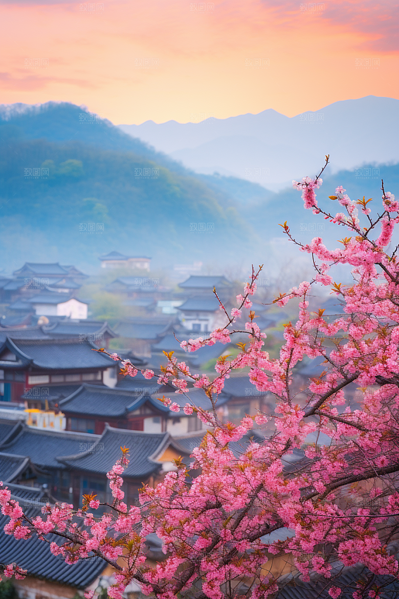 春季桃花美丽桃园摄影图