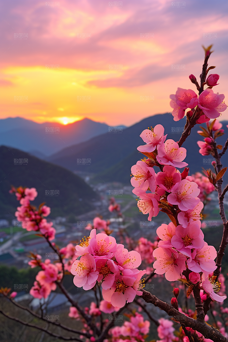春季桃花春天风光摄影图