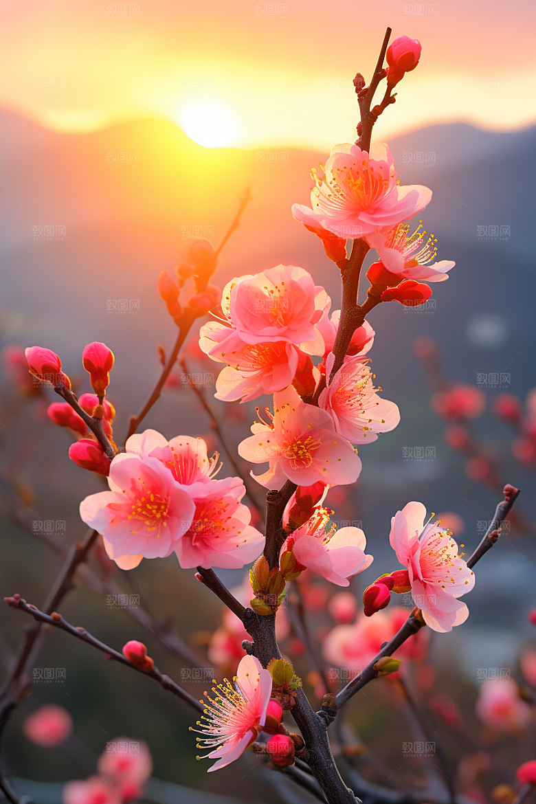 春季桃花风光山花烂漫摄影图
