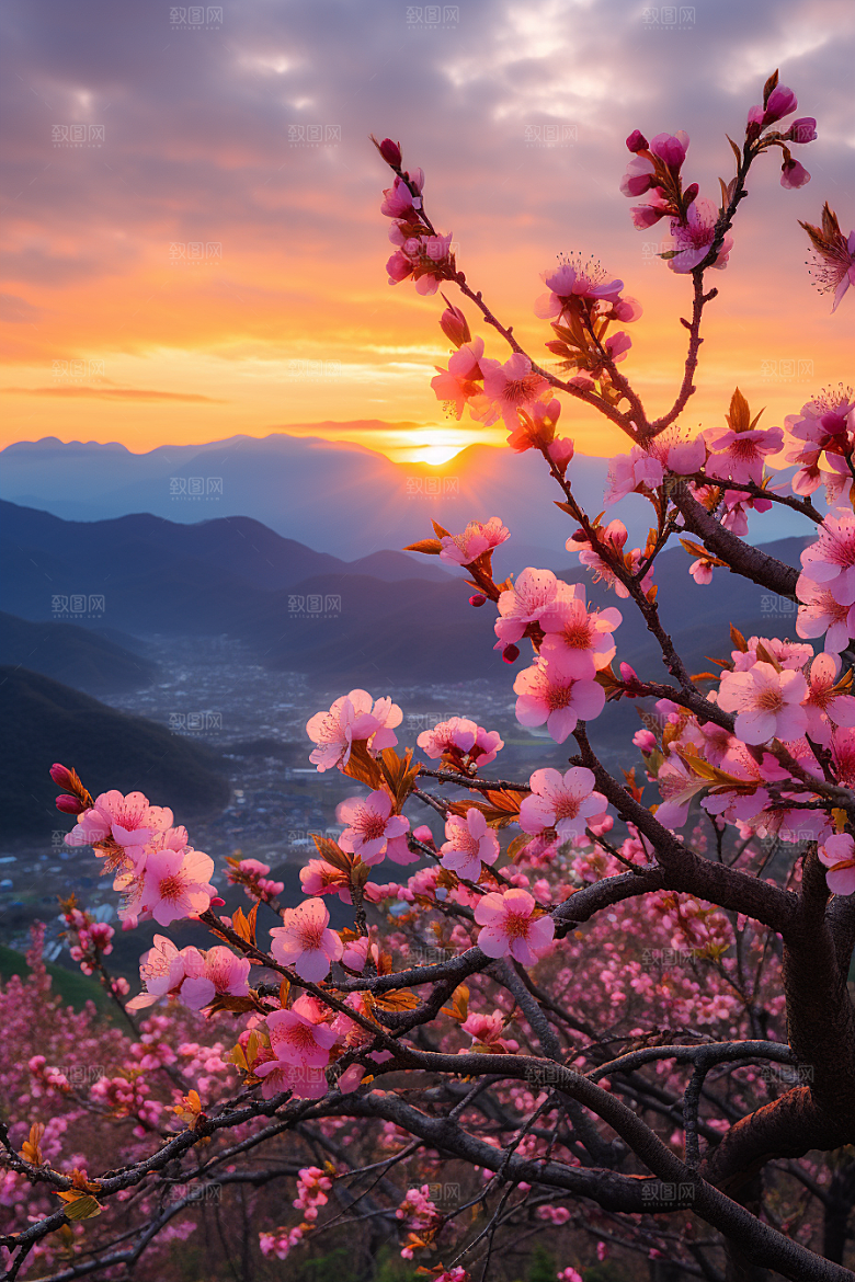春季桃花美丽桃园摄影图