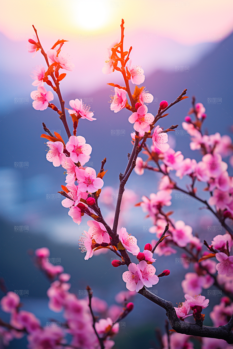 春季桃花风光山花烂漫摄影图